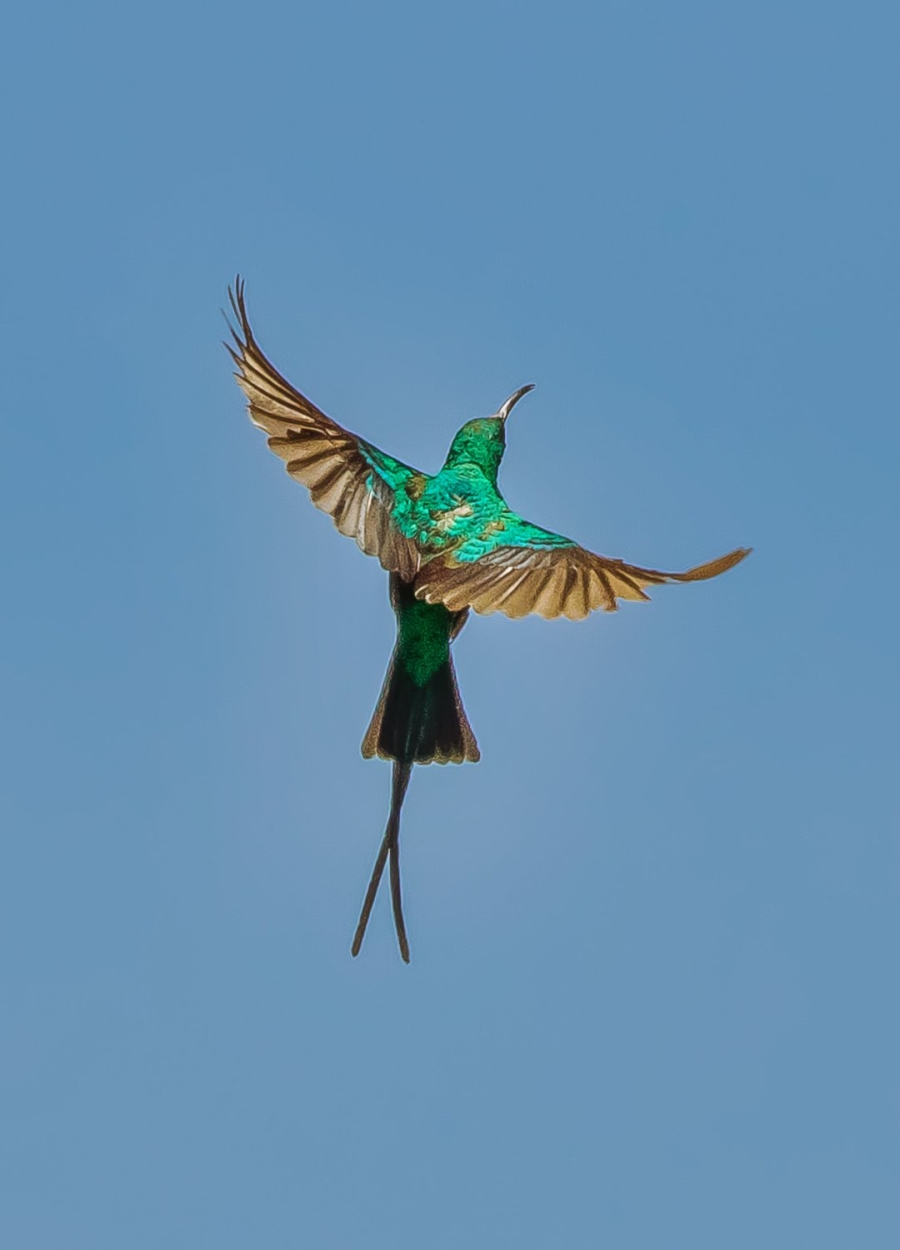 Commercial Property for Sale in Bot River Western Cape